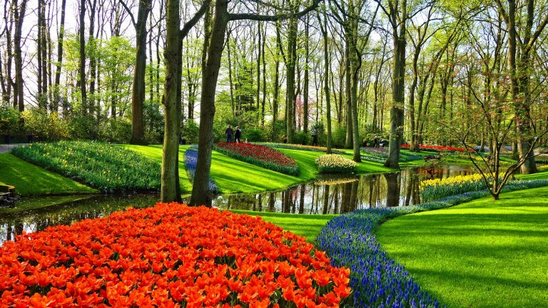 keukenhof